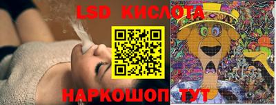 дживик Сланцы