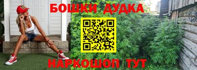 дживик Сланцы