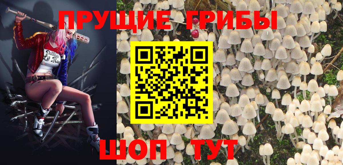 Псилоцибиновые грибы Psilocybe Октябрьский