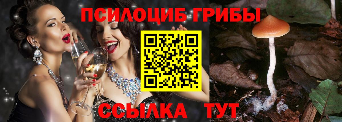 Галлюциногенные грибы прущие грибы  Вход с VPN  Октябрьский 